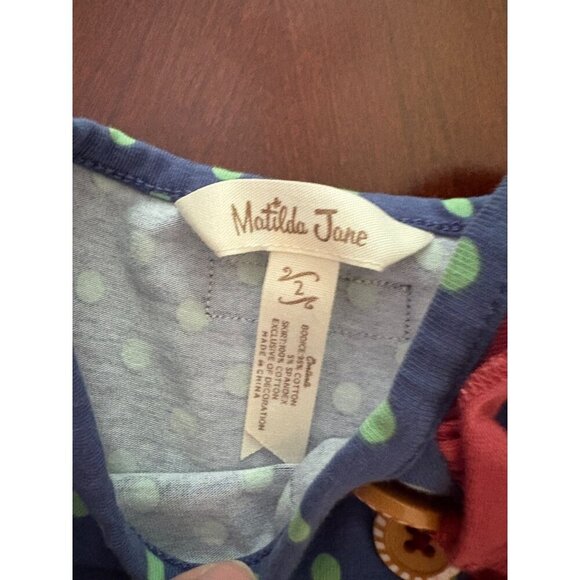 Matilda Jane Wild Heart Sleeveless Boho Floral Fall Dress Size 2 Toddler Girls - Picture 6 of 11